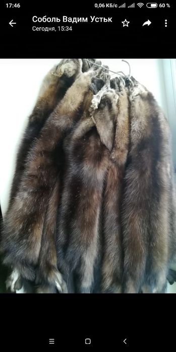 продам шкурки соболя