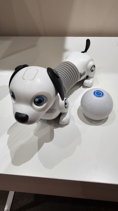 Робо дакел джуниър