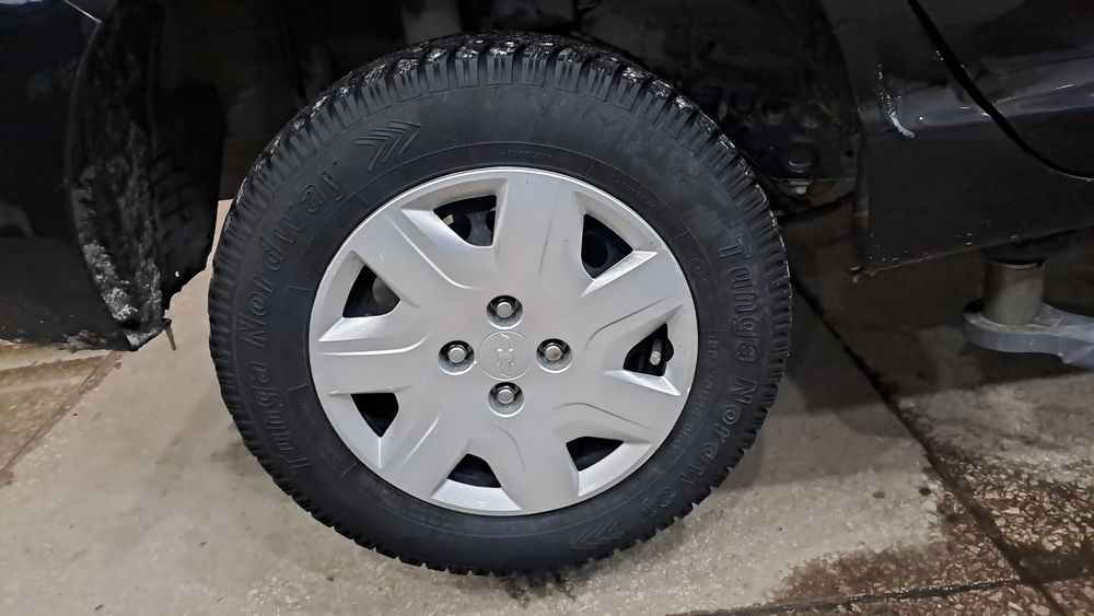 Тунга в хорошем состоянии