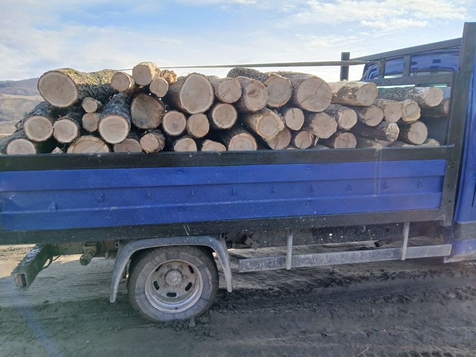 Vând lemne de foc , fag , stejar !!