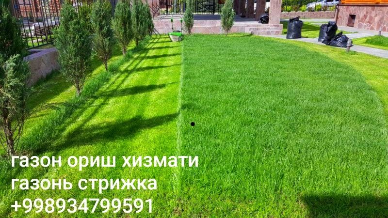Газон ориш хизмати