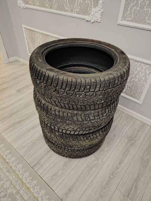 Щины зимние шиповные