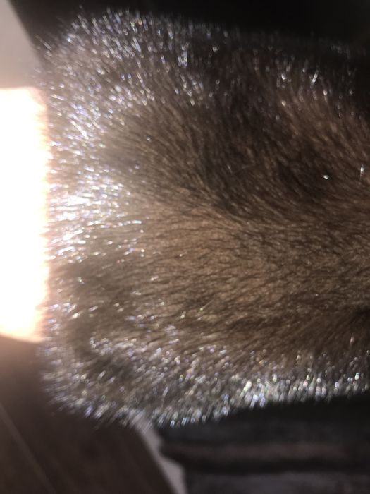 Шуба норковая