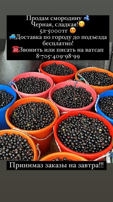 Продам смородину
