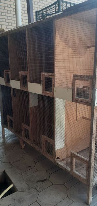 100 % гарантия берилади тозза