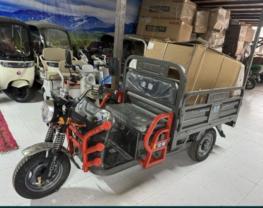 Трициклы Муравей