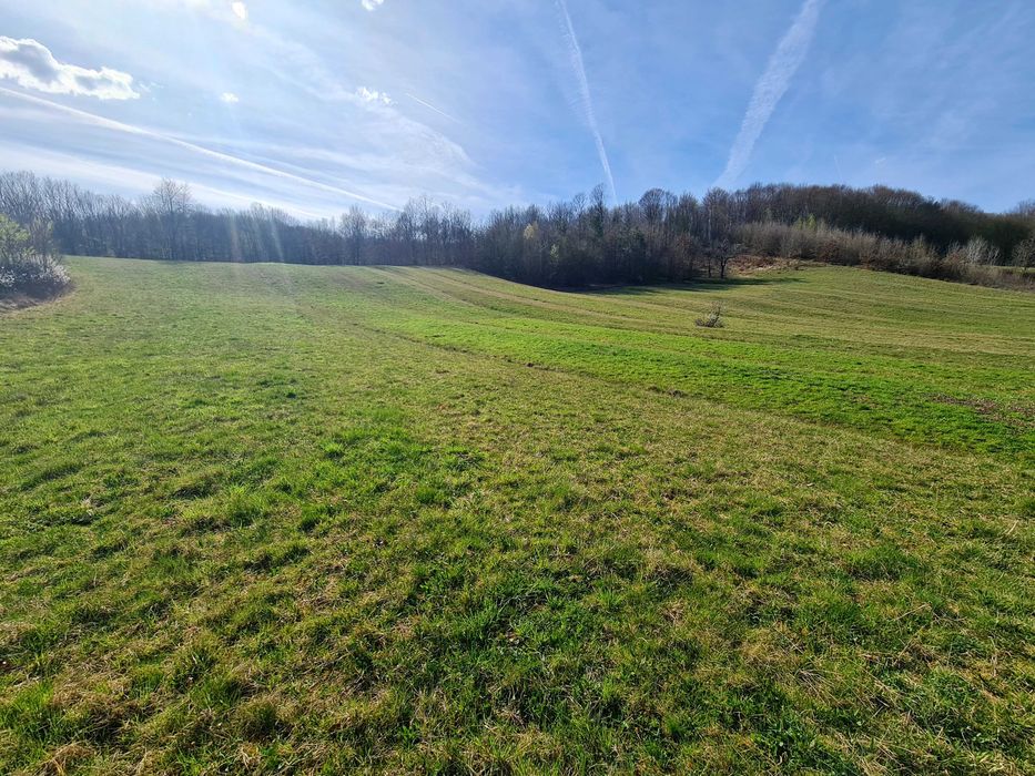 Proprietar vand casa+ teren 13000mp, Steia, Tomesti, jud. Hunedoara, 20km de Brad, 5km de Vata Bai