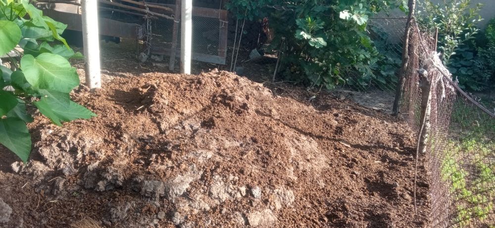 Поруу молларники куйган