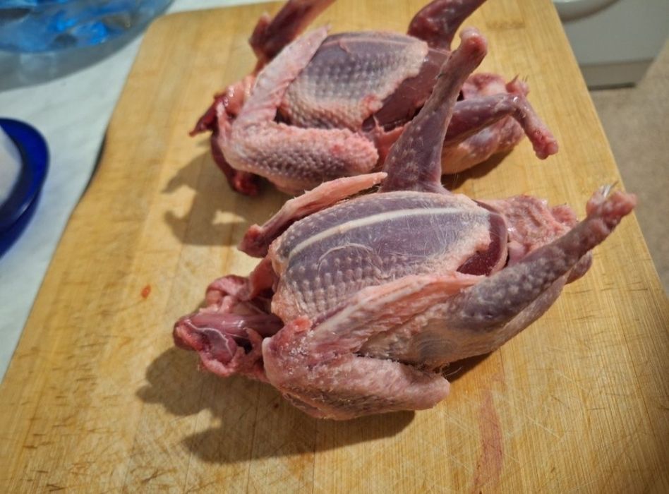 Мясо голубя,  кок кептер еті