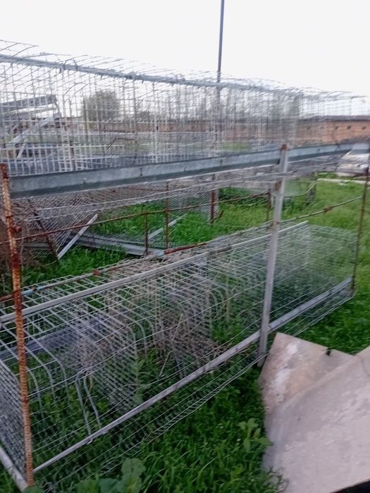 Tovuq boqishga setka