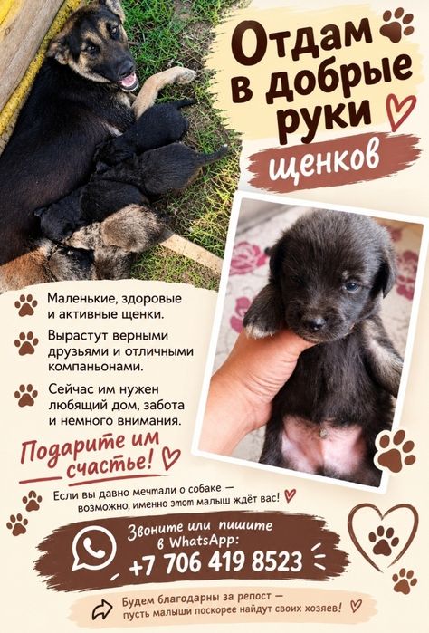 Отдам щенков в добрые руки
