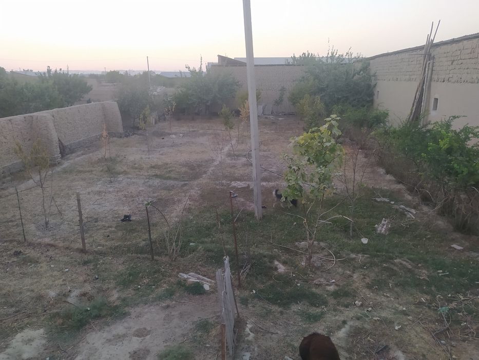 8 sotix oʻralgan yer maydoni sotiladi