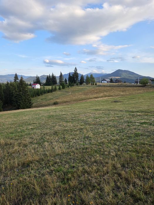 Teren Piatra Fântânele pasul Tihuta