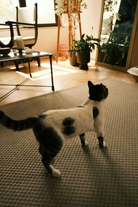 Дава се под наем Двустаен апартамент в Пловдив, Христо Смирненски - 70 кв.м за 561 € - Снимка #6