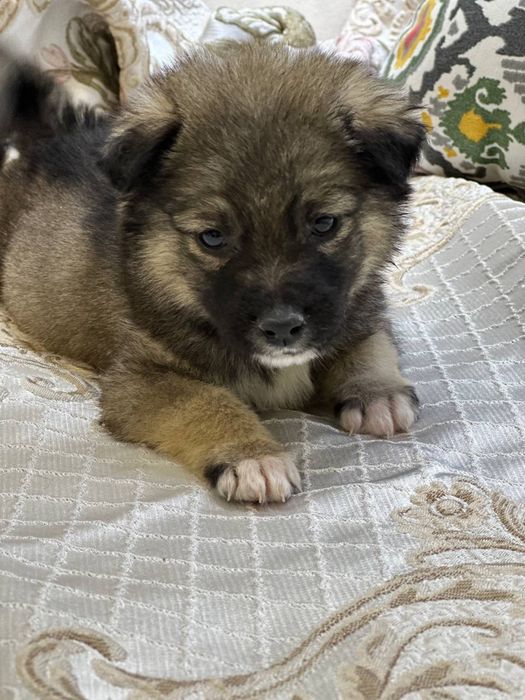 Малышам срочно нужен дом и семья!