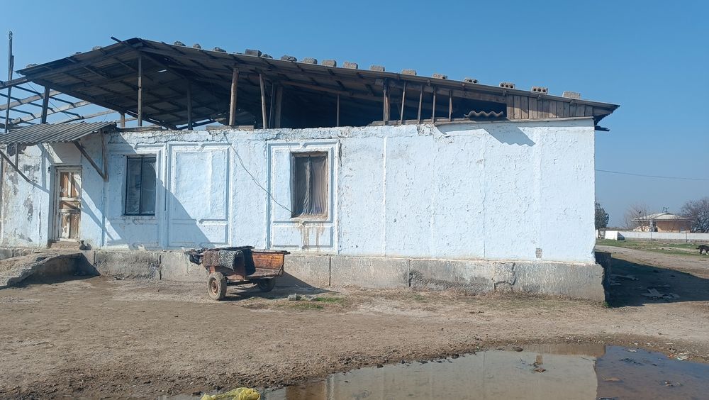 Zomin tumani Dashtobod shaharchasi Guliston MFY  da joylashgan noturar