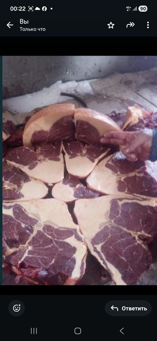 Жілік сойылады нал аласаңыз бағасы тиімді