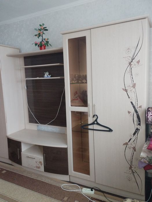 Продам Стенка горка!