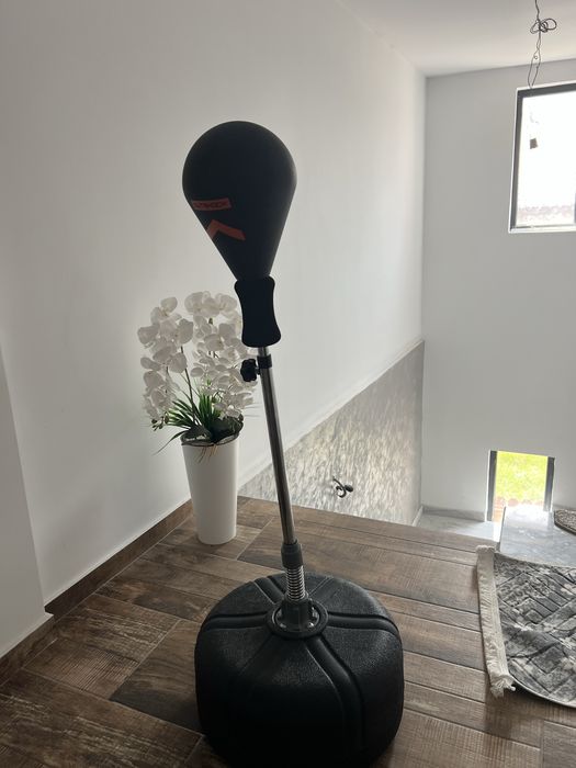Punching ball (sac de box)