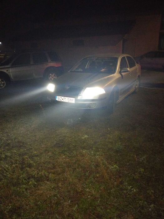 Faruri octavia 2