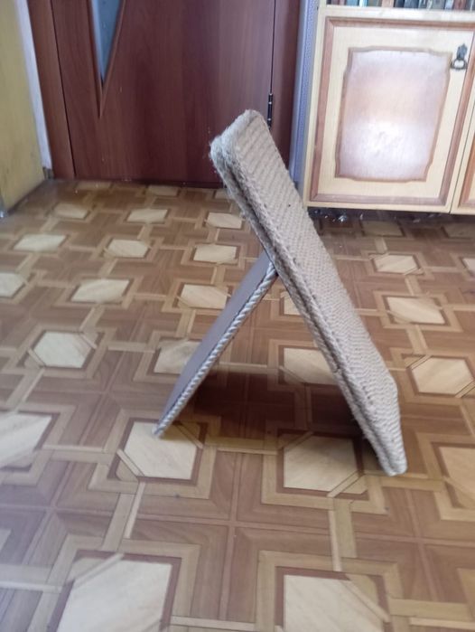 Коктеточка для кошек .