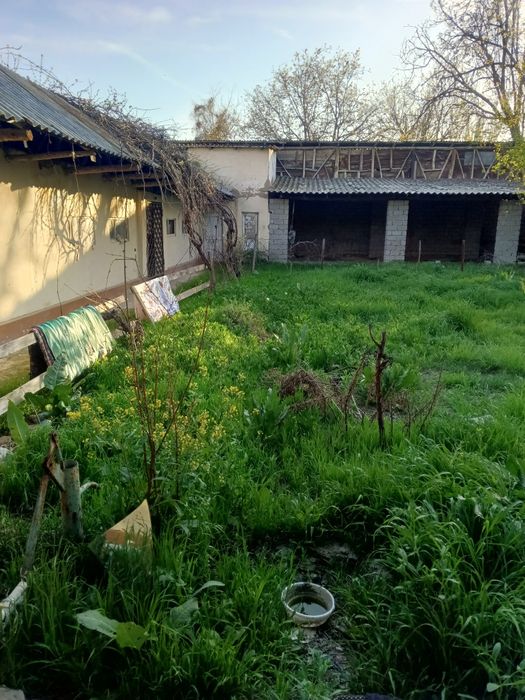 Ховли уй сотилади