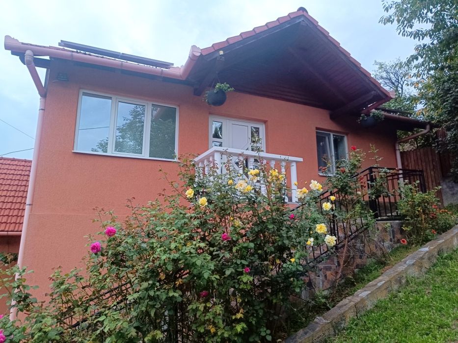Casa de vânzare în Meteș