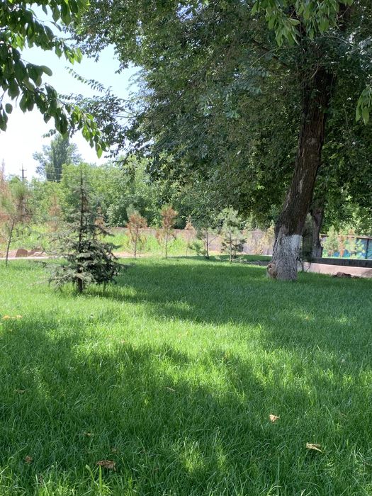 Газон с гарантией