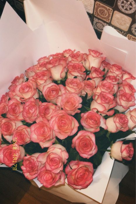 Гул роза 51шт!!!