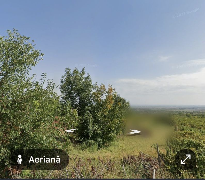 Teren intravilan 2000 mp