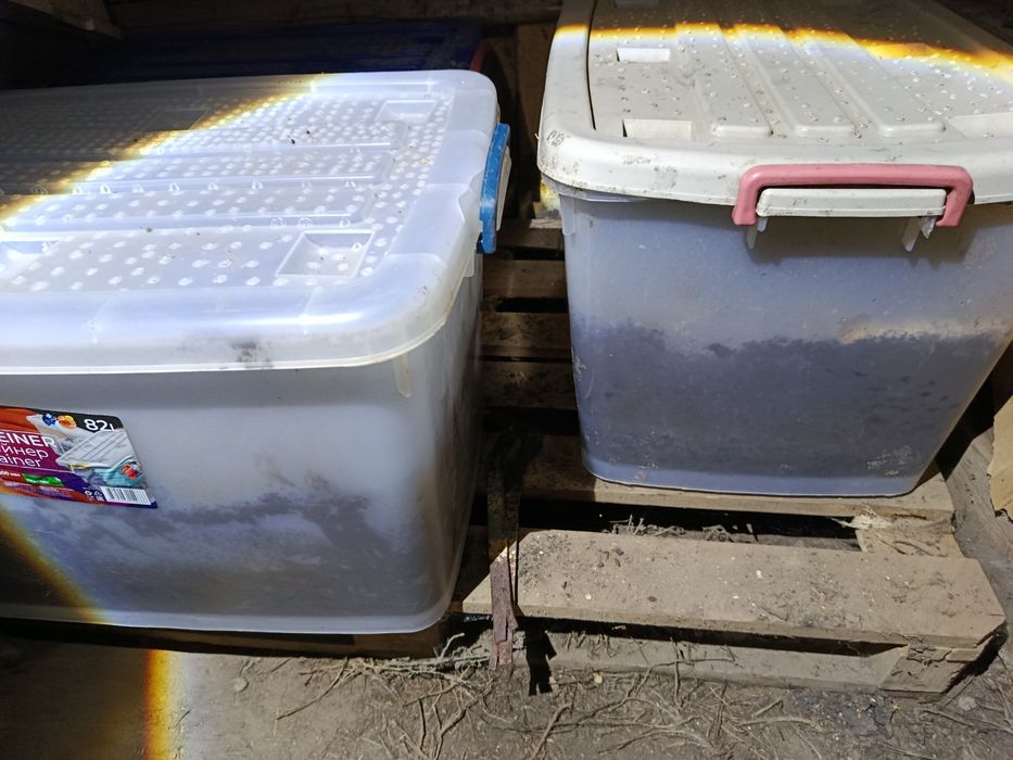 Продам вермиферма (червей)