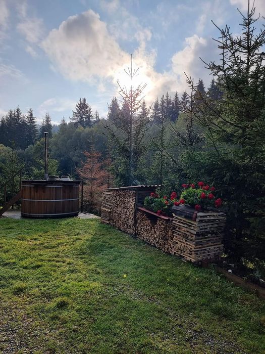 Pensiune cu păstrăvărie - 3,5 h teren pădure/pădure/bazine 6