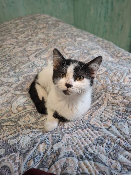 Доставим в хорошие руки