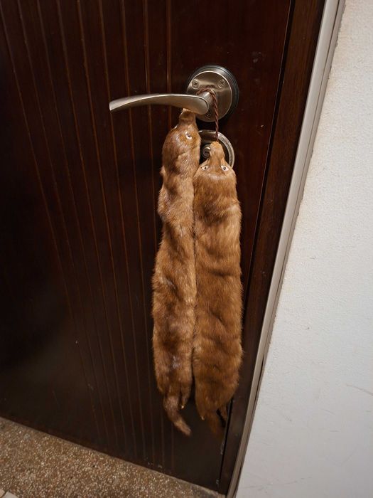 vand guler pereche nurci