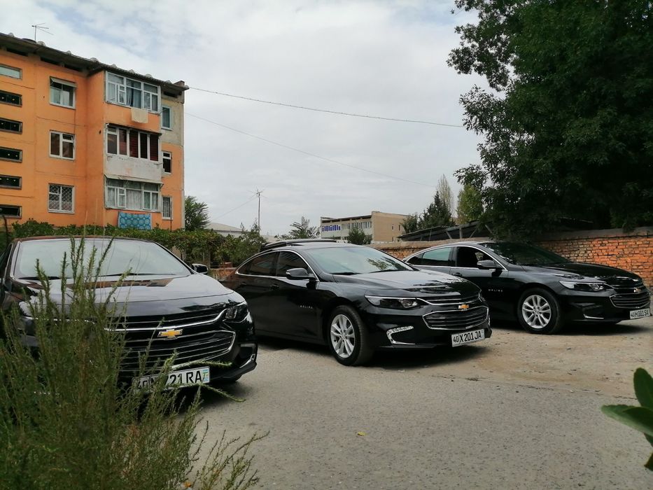 Туй ва маросимлар учун малибу 2 хизматингизда