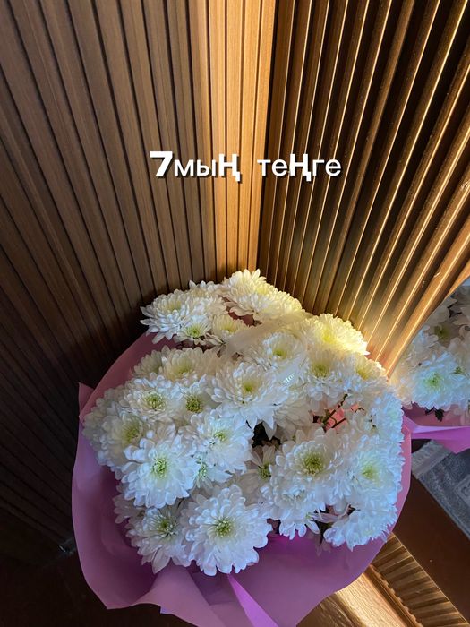 Цветы Роза Кросата