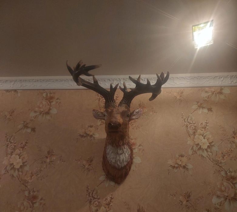 Декор оленьи рога
