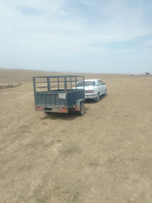 Vaz 3110 tachkasi bilan birga