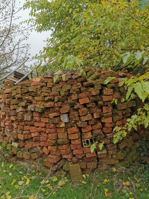 Подарявам тухли.