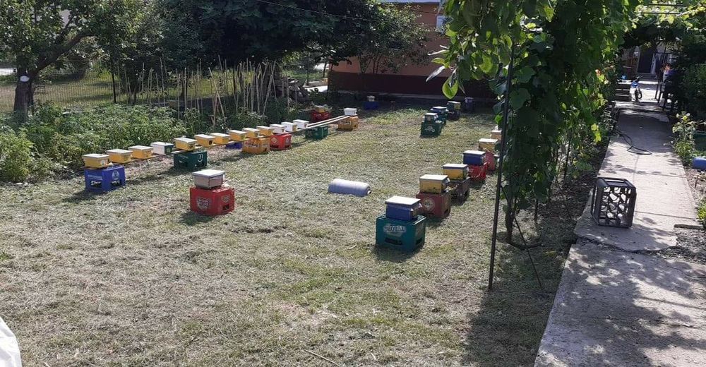 Matci de vanzare sezonul 2025!