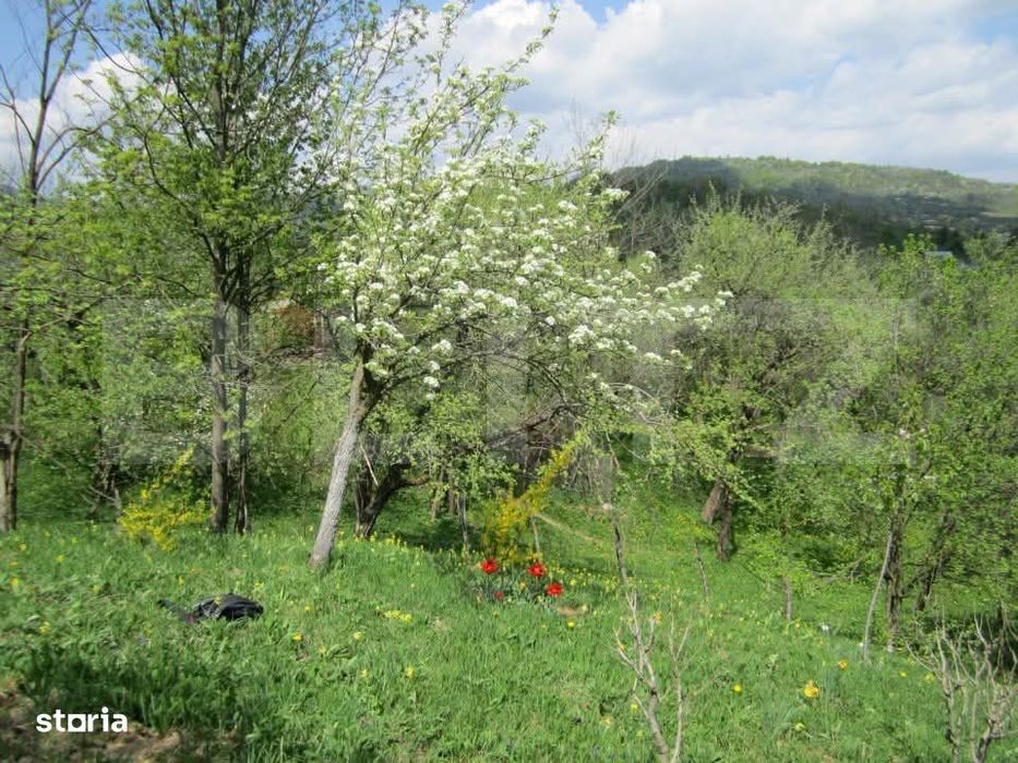 Teren de vanzare, 884 mp, zona Runcu