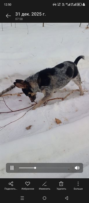 Маленькая бусинка