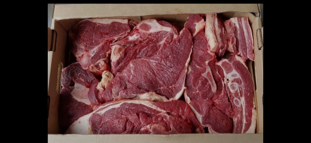 Мясо  конина мясо