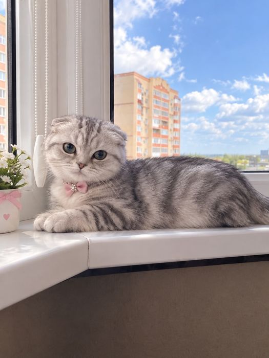 Девочки молодая...