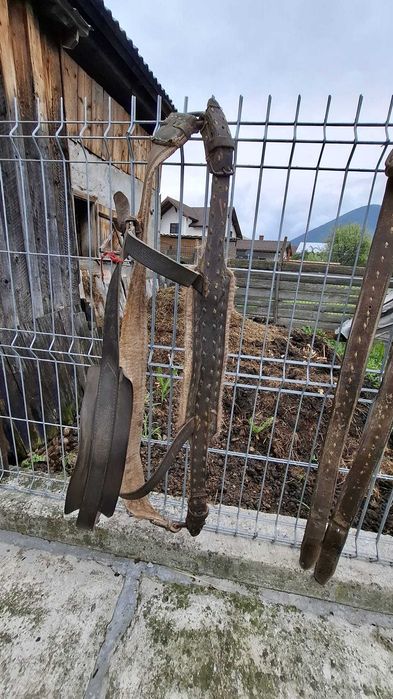 Accesorii pentru cal