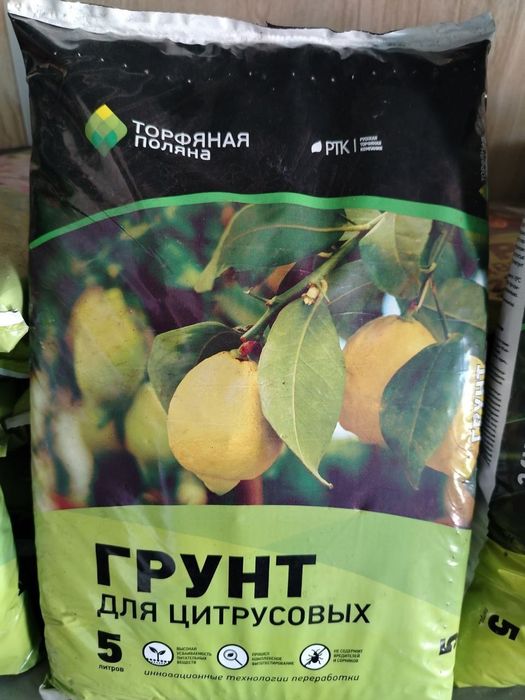 Xar xil turdagi gullarimiz sotiladi