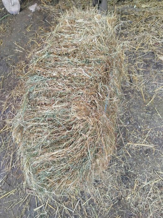 Baloti de fana , otava !!! 11 lei