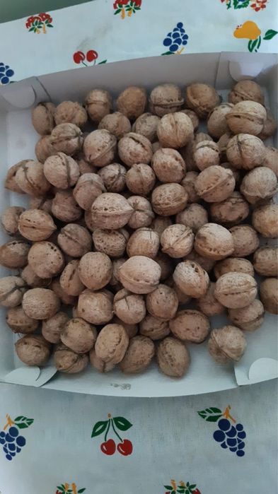 Продам грецкие орехи