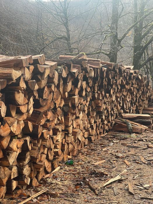 ‼️SC‼️Depozit autorizat comercializăm lemne de foc [Fag,Stejar,Carpen]