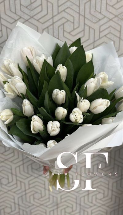 Тюльпаны свежие Астана